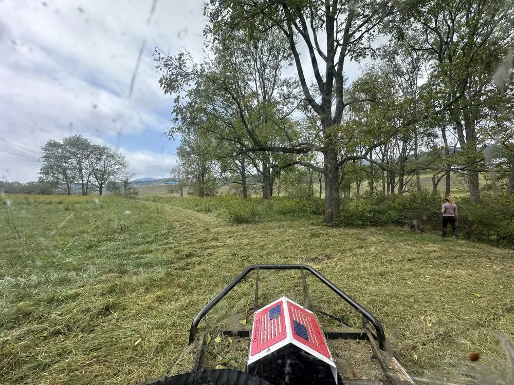 Professional outdoor landscaping in Catawba, VA by E & Ks Stump Grinding