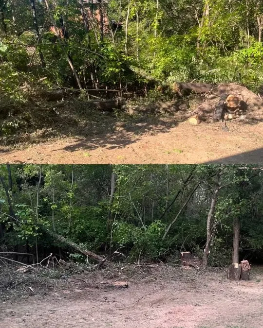 Affordable outdoor landscaping for residential properties across Catawba, VA - E & Ks Stump Grinding