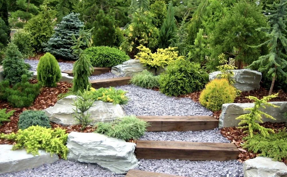 Top-rated landscape design in French Camp, CA by E & l Landscaping