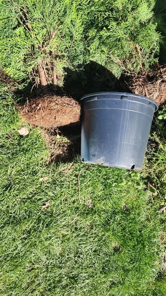 Trusted lawn mowing service in Columbus, OH by E & L Lawn Care