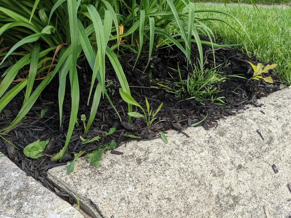 Custom landscape installation for outdoor upgrades across Columbus, OH - E & L Lawn Care