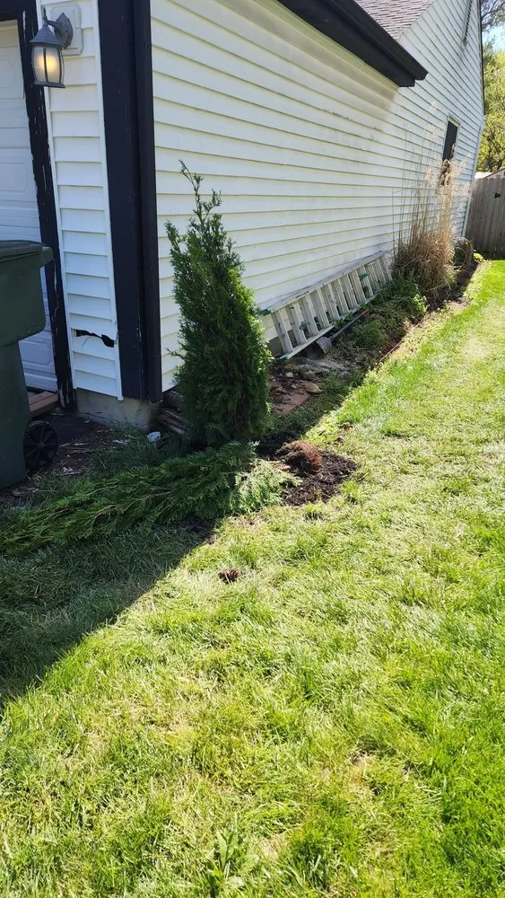 Trusted yard maintenance in Columbus, OH by E & L Lawn Care