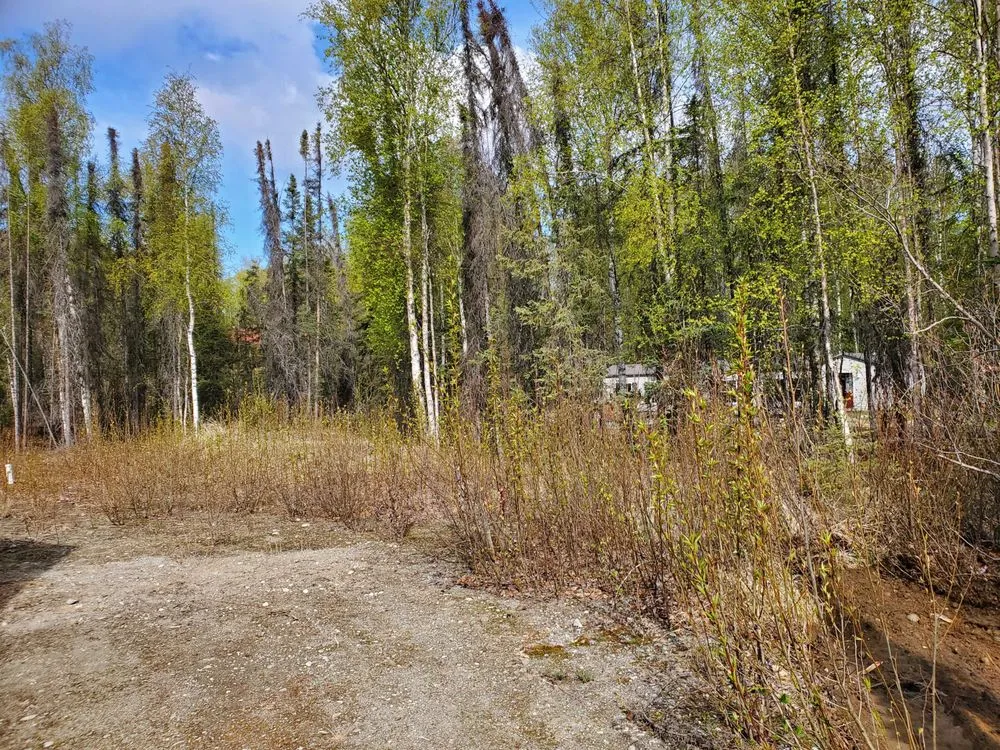 Top-rated lawn care service experts serving Palmer, AK - E & M Dirtworks