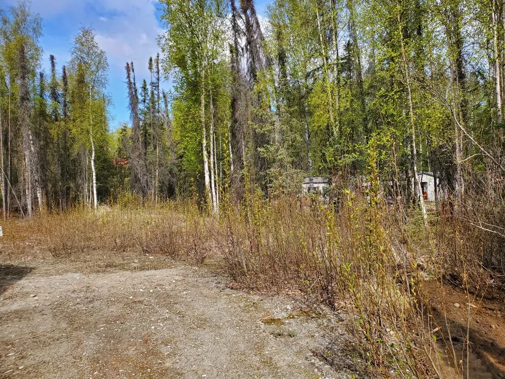 Custom outdoor landscaping in Palmer, AK - E & M Dirtworks