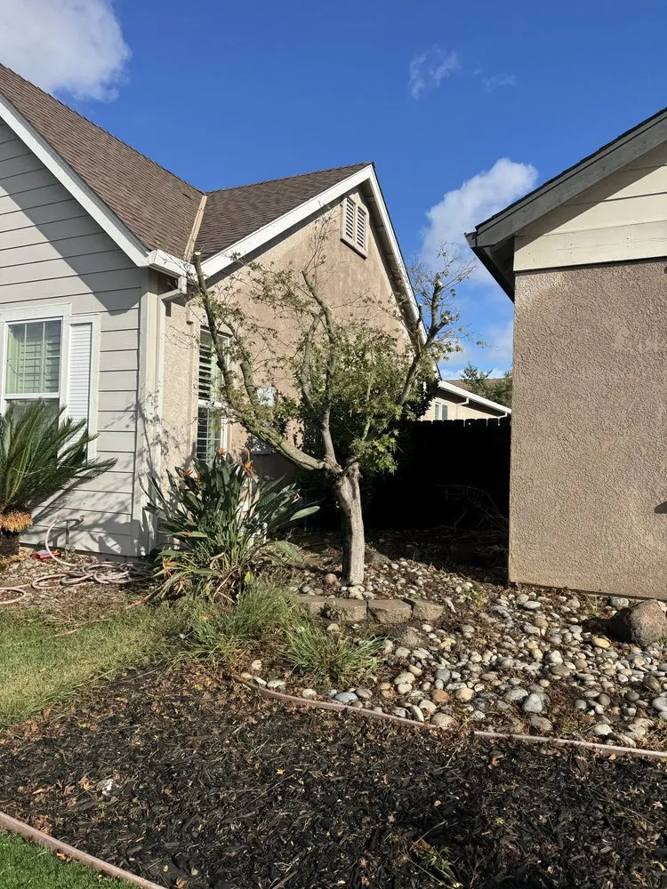 Trusted garden landscaping in Ceres, CA - E & M Landscaping