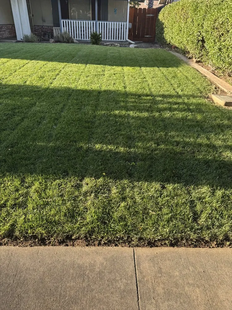 Top-rated landscape design for outdoor upgrades across Ceres, CA - E & M Landscaping