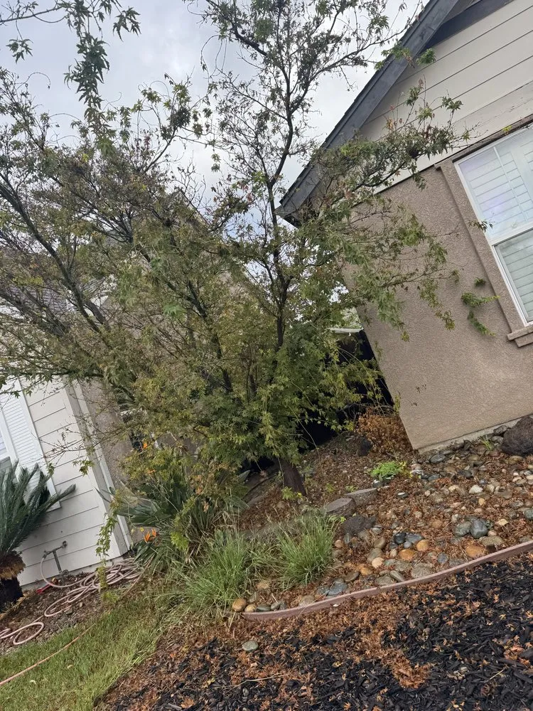 Custom garden landscaping in Ceres, CA - E & M Landscaping