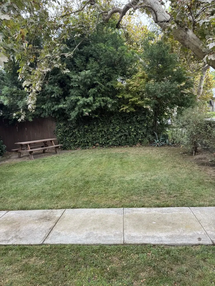 Top-rated landscape design for beautiful yards across Ceres, CA - E & M Landscaping