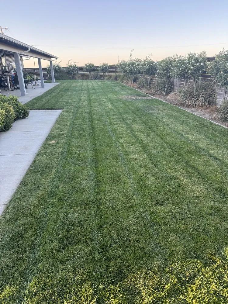 Affordable landscape installation in Ceres, CA by E & M Landscaping