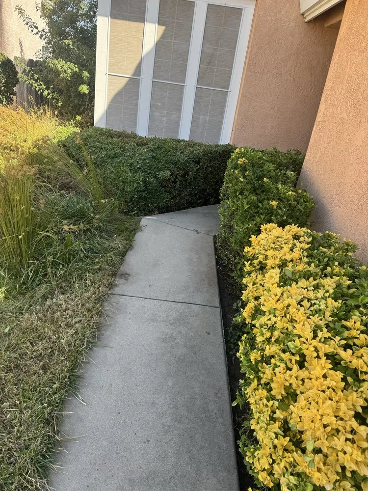 Trusted garden landscaping for homes across Ceres, CA - E & M Landscaping