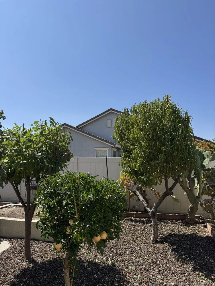 Trusted lawn care service in Ceres, CA - E & M Landscaping