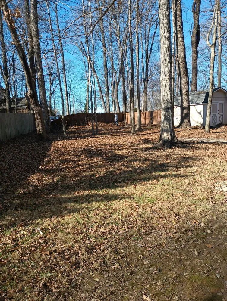 Affordable garden landscaping for beautiful yards in Springfield, OH by E & M Tree & Lawn Service