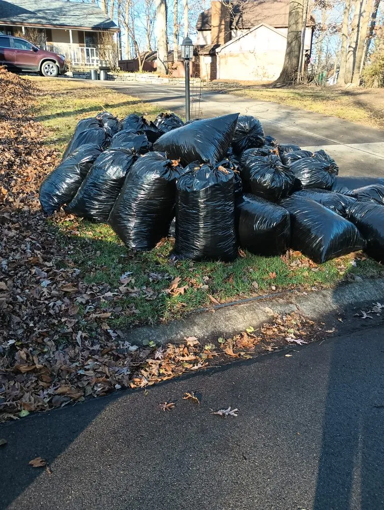 Professional landscape installation experts serving Springfield, OH - E & M Tree & Lawn Service