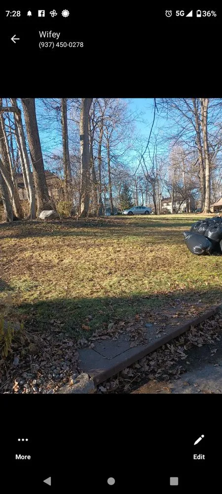 Local yard maintenance in Springfield, OH by E & M Tree & Lawn Service