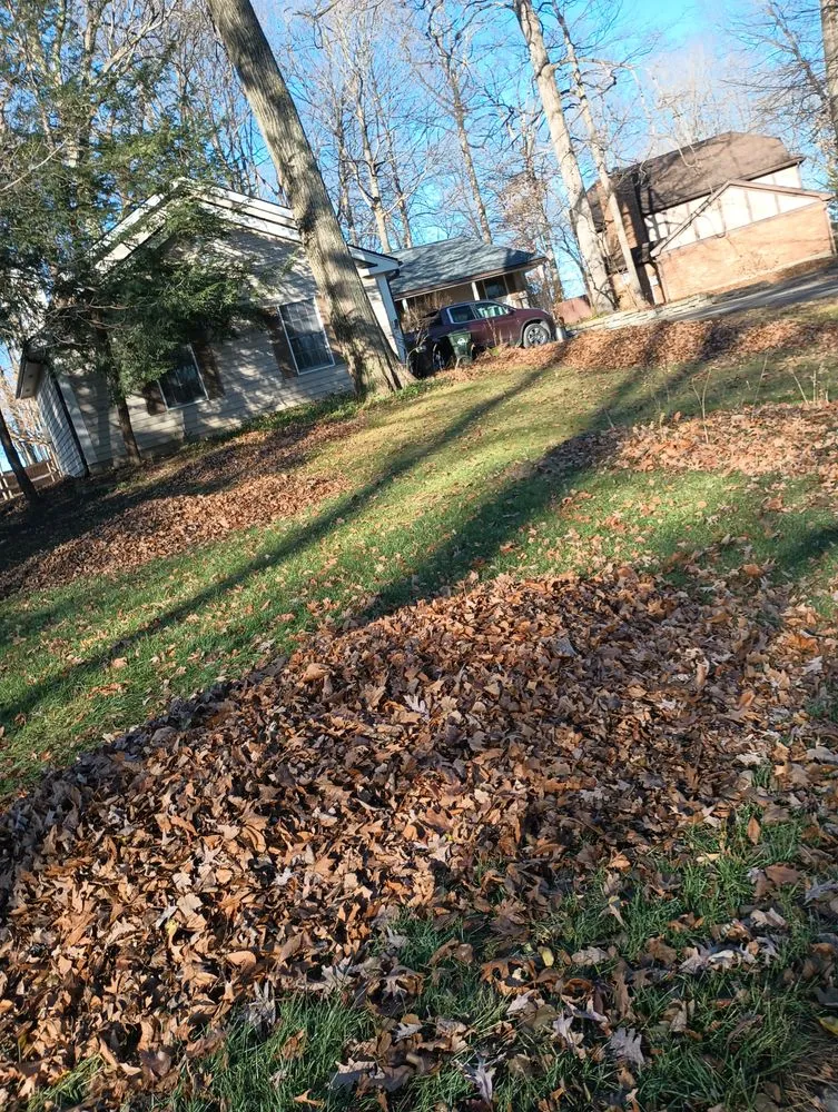 Reliable residential landscaping for beautiful yards across Springfield, OH - E & M Tree & Lawn Service