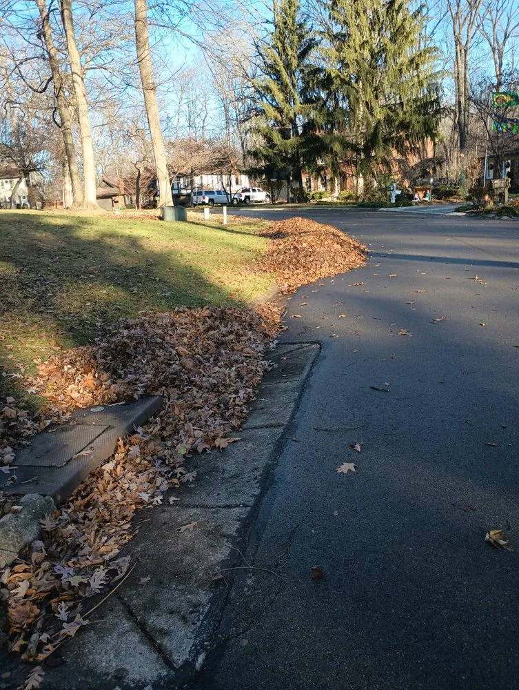 Top-rated landscape design with custom design across Springfield, OH - E & M Tree & Lawn Service