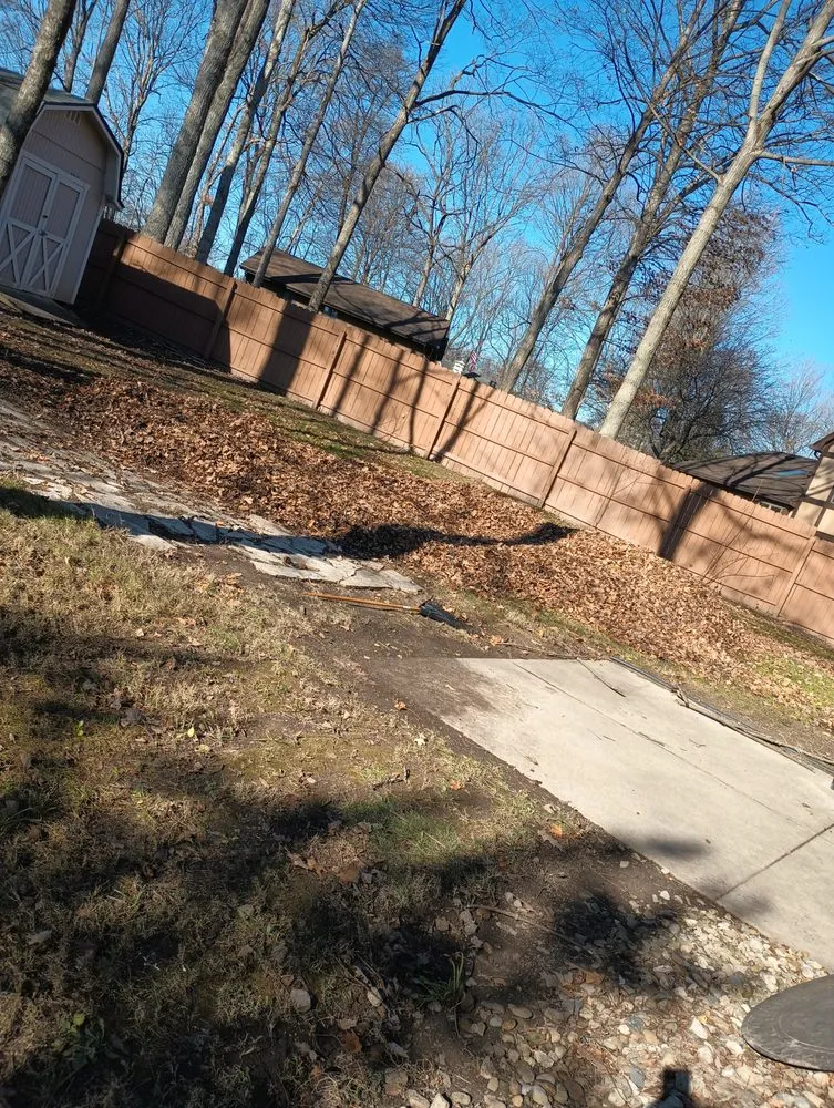 Top-rated landscape design experts serving Springfield, OH - E & M Tree & Lawn Service