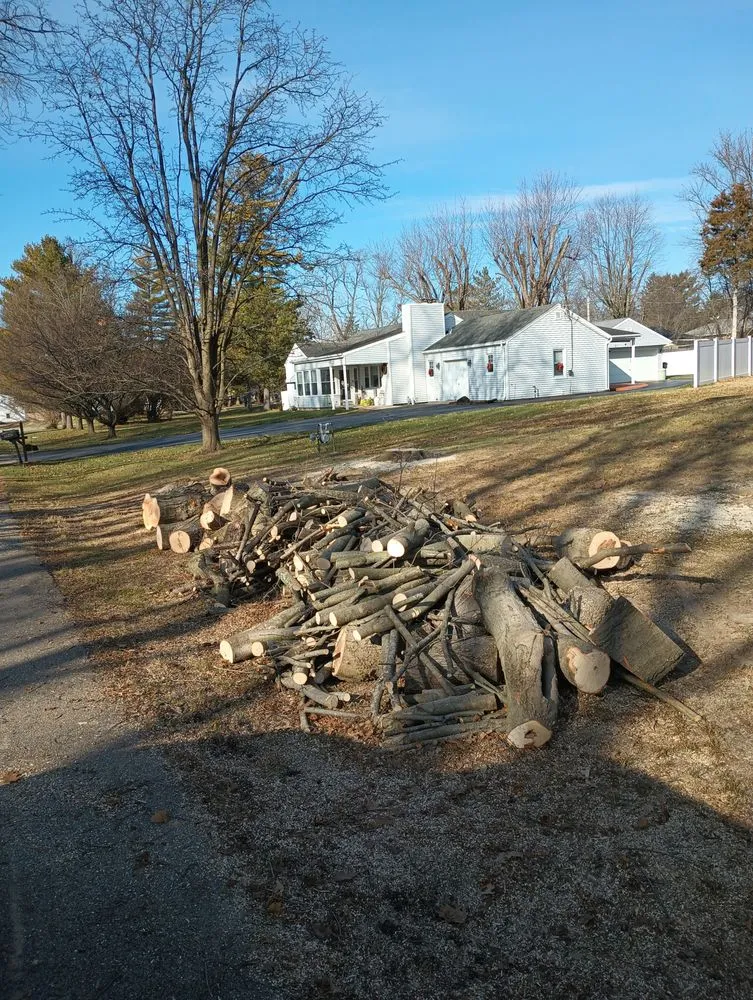 Professional landscaping services in Springfield, OH - E & M Tree & Lawn Service