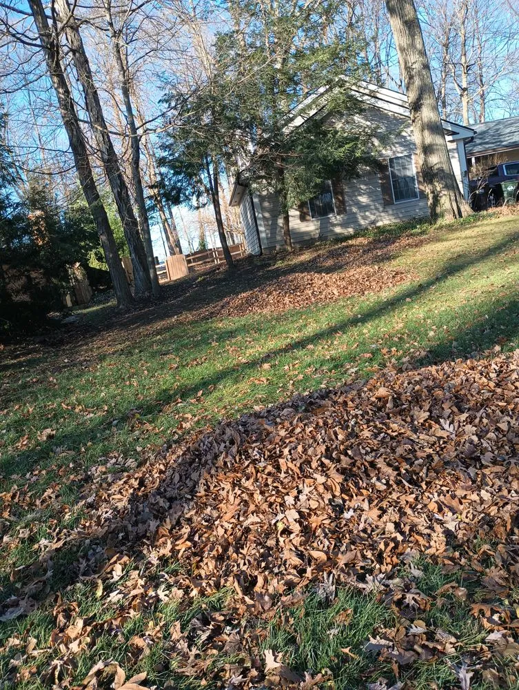 Custom yard maintenance for outdoor upgrades across Springfield, OH - E & M Tree & Lawn Service