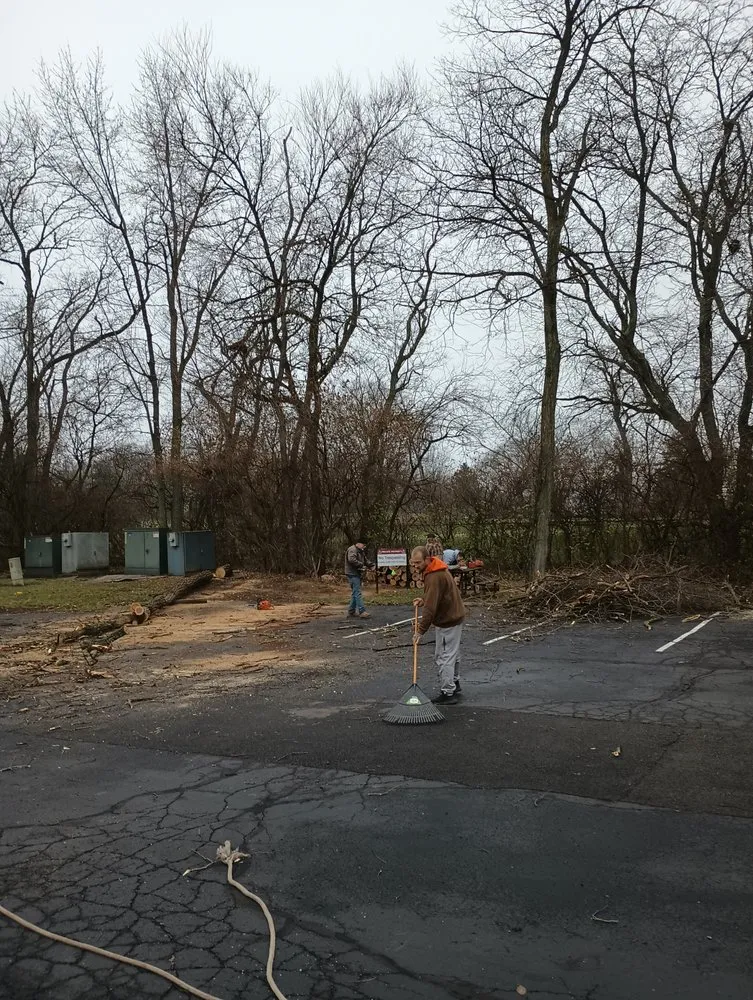 Professional yard cleanup service for year-round maintenance across Springfield, OH - E & M Tree & Lawn Service