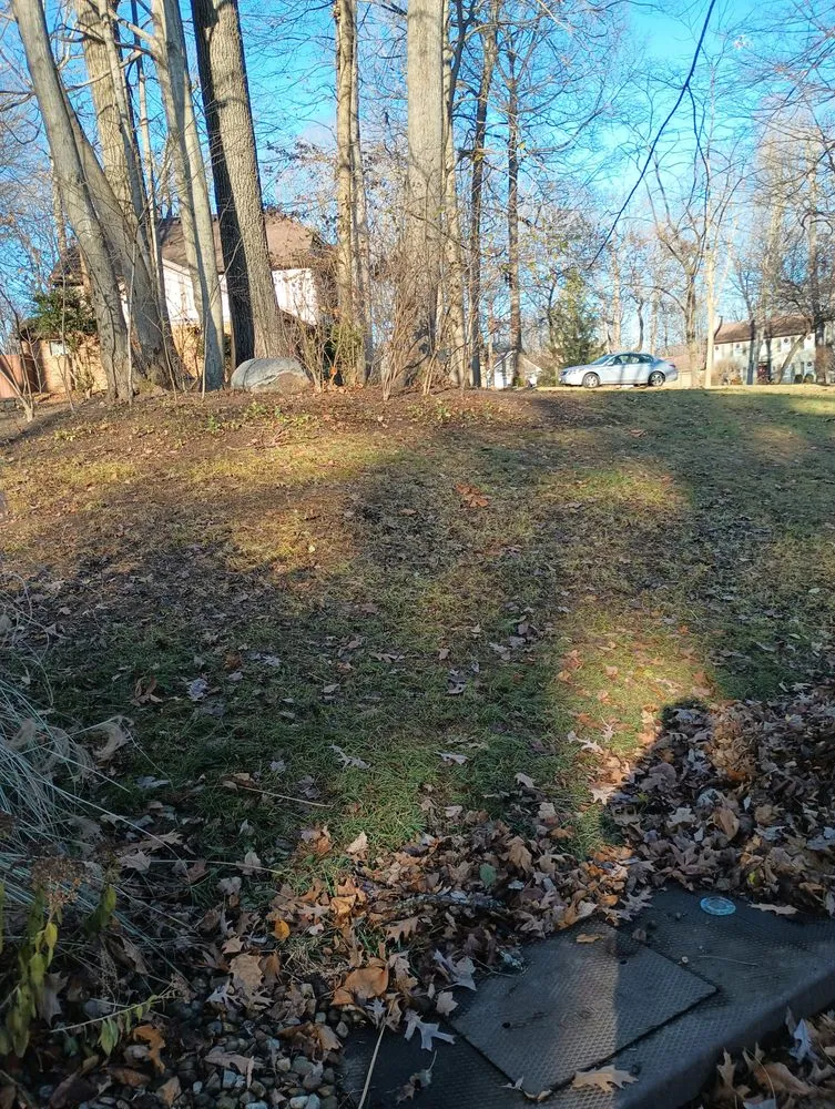 Professional garden landscaping experts serving Springfield, OH - E & M Tree & Lawn Service