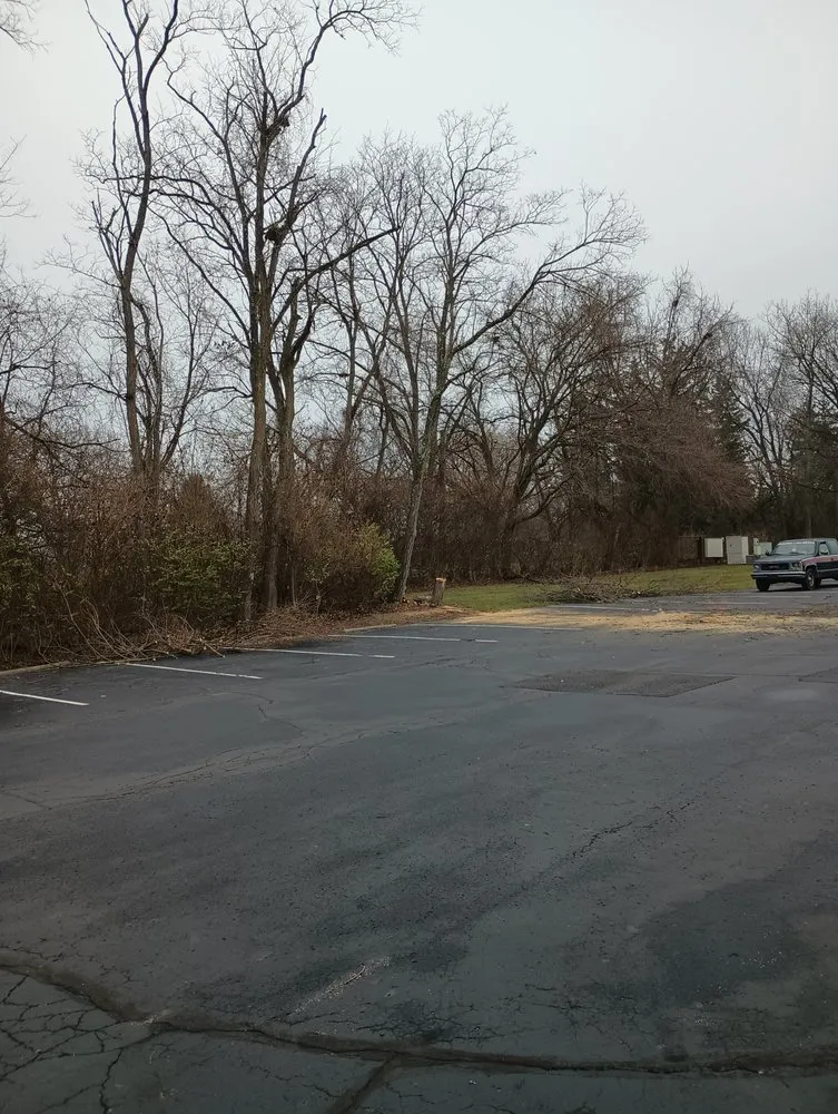 Professional landscape design experts serving Springfield, OH - E & M Tree & Lawn Service