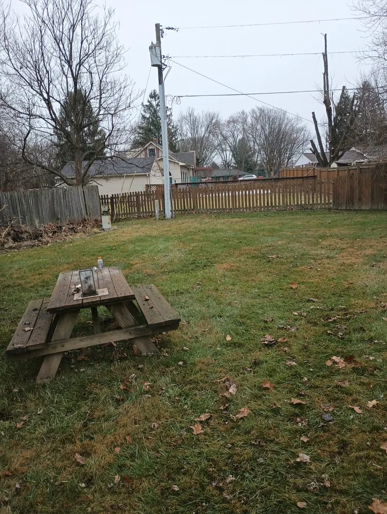 Reliable yard cleanup service experts serving Springfield, OH - E & M Tree & Lawn Service