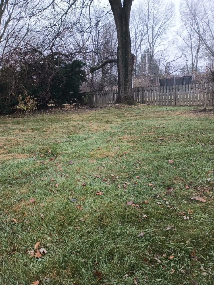 Trusted lawn mowing service for outdoor upgrades in Springfield, OH by E & M Tree & Lawn Service