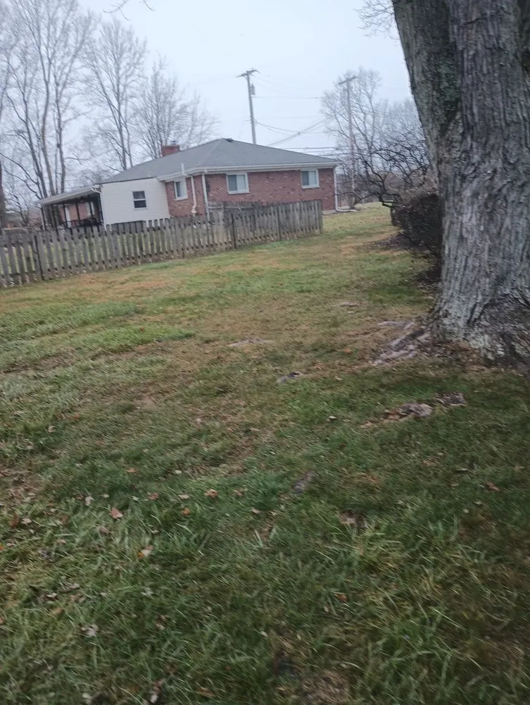 Reliable yard maintenance for beautiful yards across Springfield, OH - E & M Tree & Lawn Service