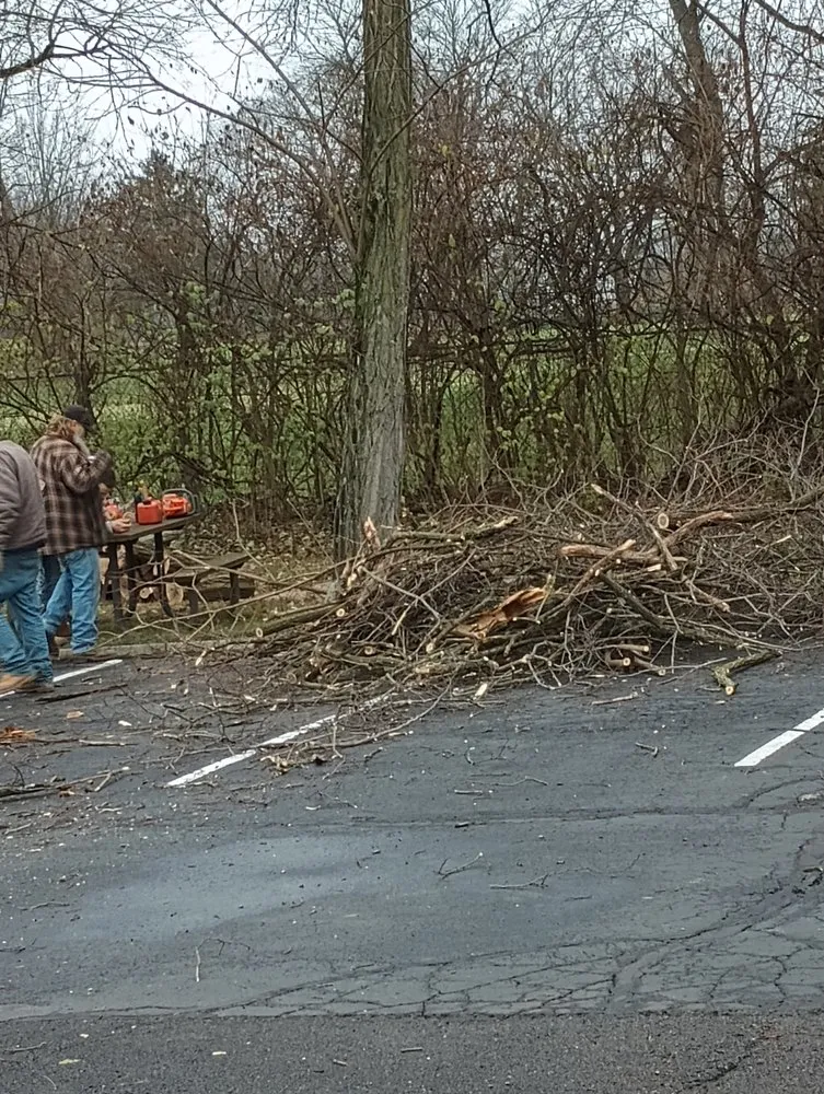 Reliable yard maintenance experts serving Springfield, OH - E & M Tree & Lawn Service