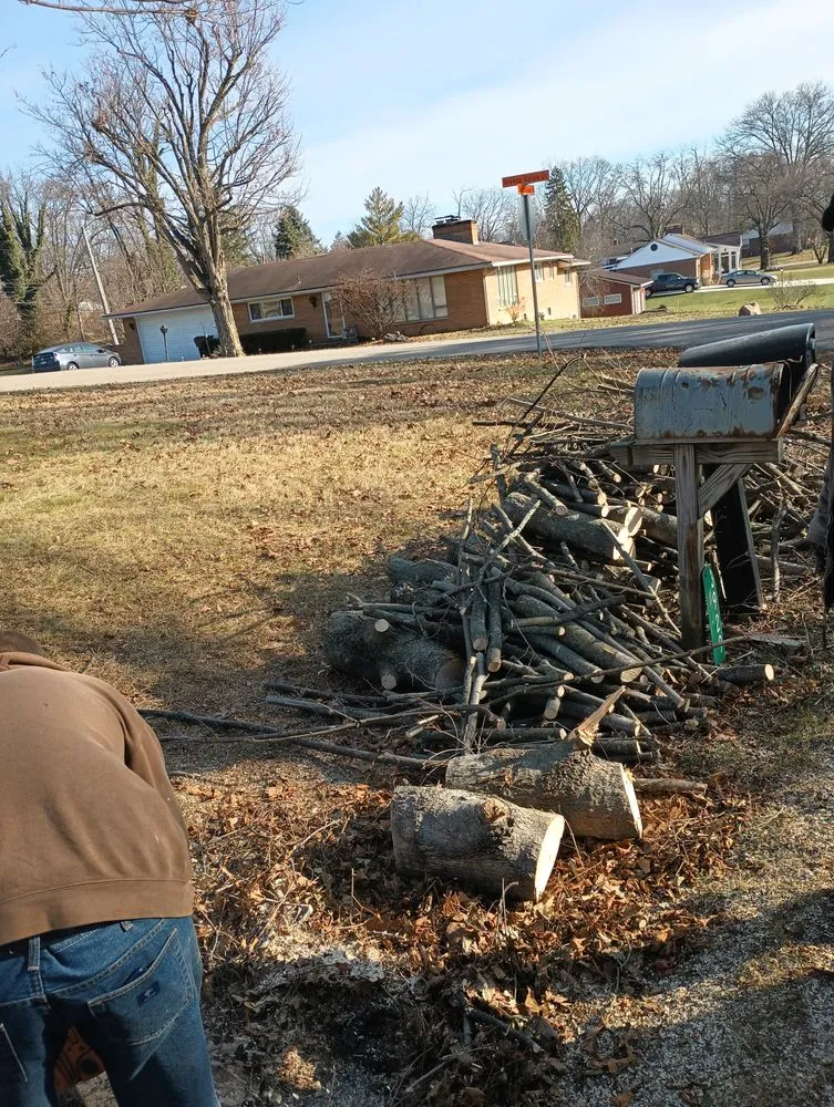 Top-rated yard maintenance for homes across Springfield, OH - E & M Tree & Lawn Service