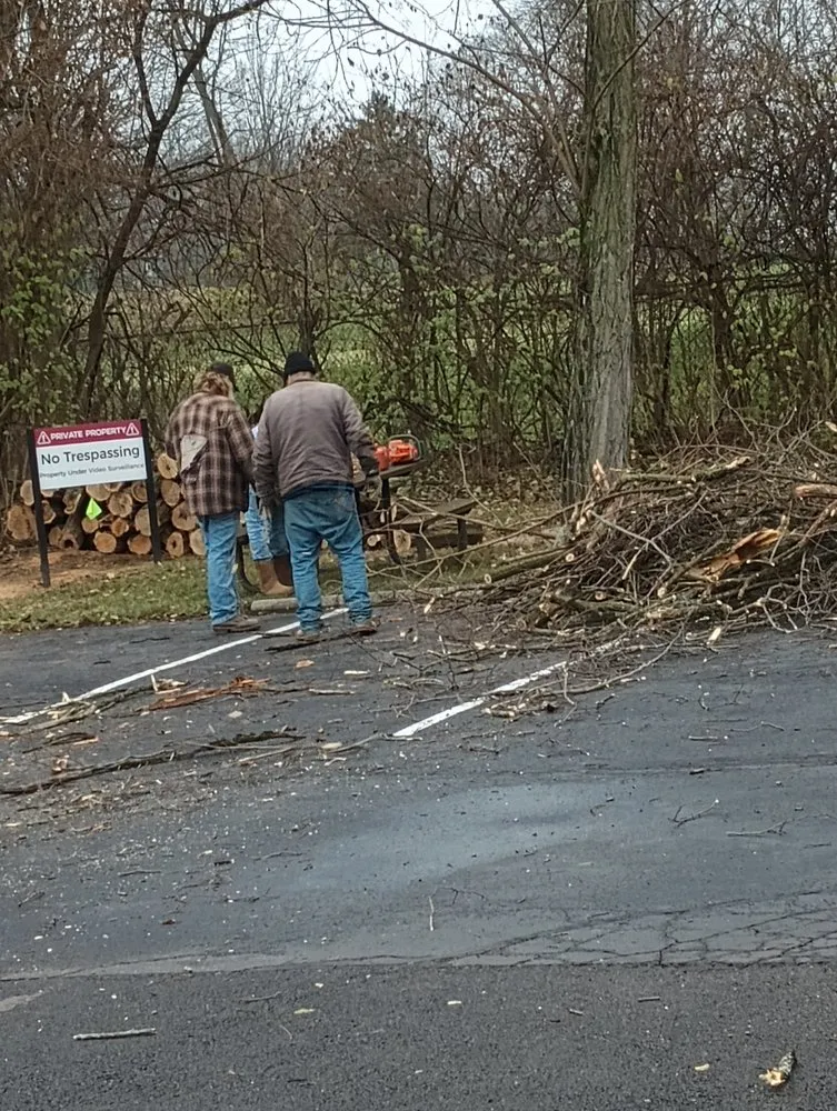 Trusted landscaping services in Springfield, OH by E & M Tree & Lawn Service