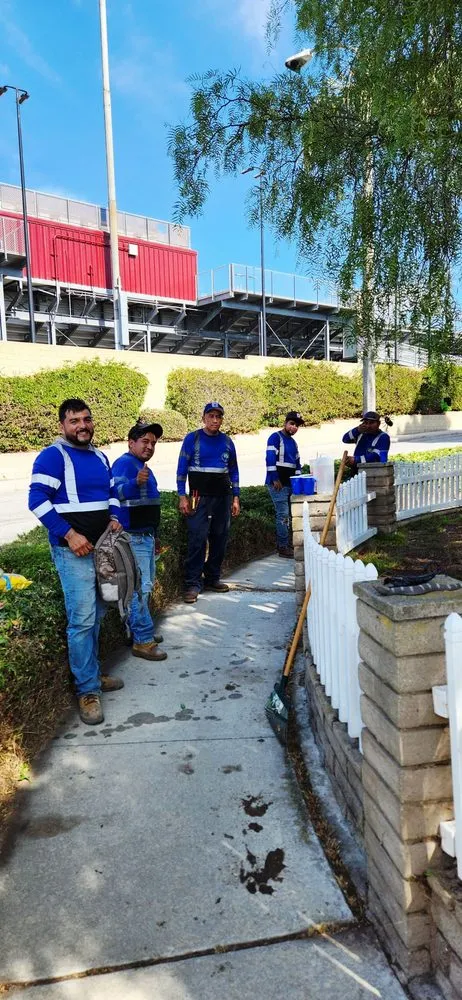 Custom landscape design in Gardena, CA by E & M Tree Service