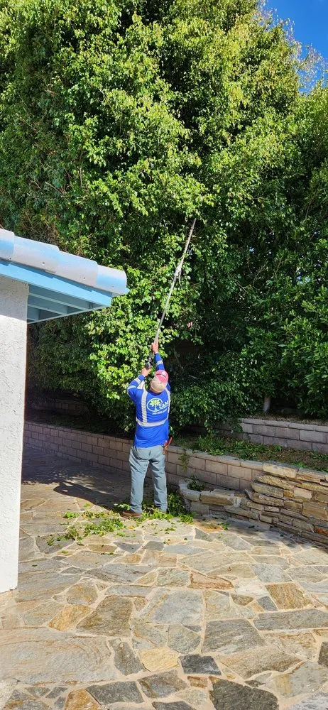 Professional landscaping services in Gardena, CA by E & M Tree Service