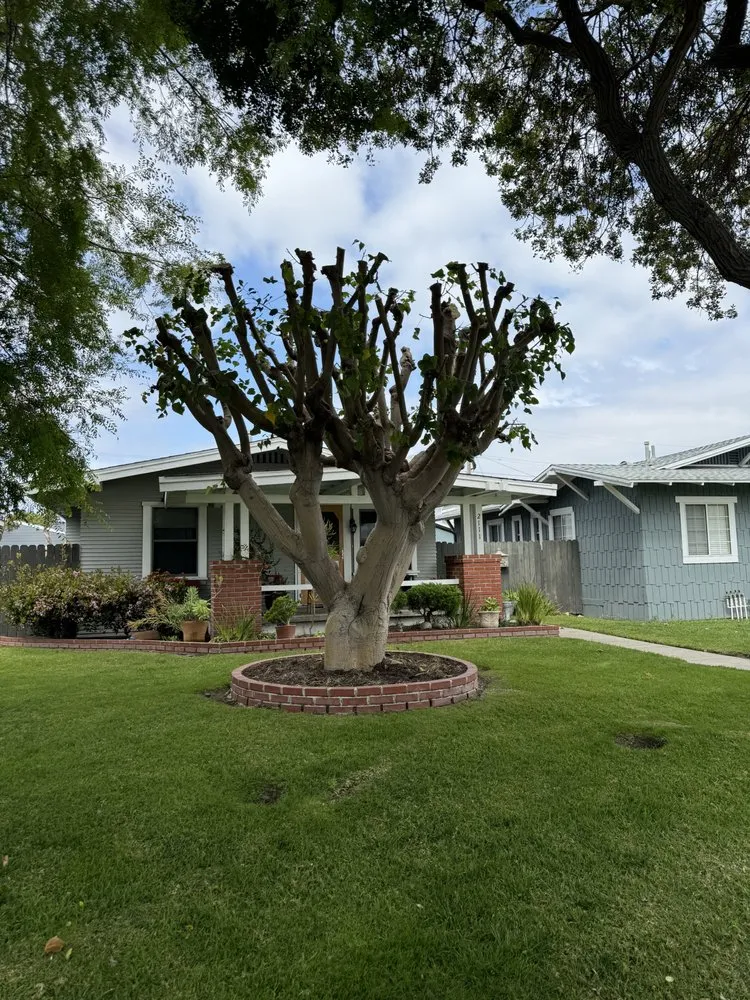 Affordable garden landscaping experts serving Gardena, CA - E & M Tree Service