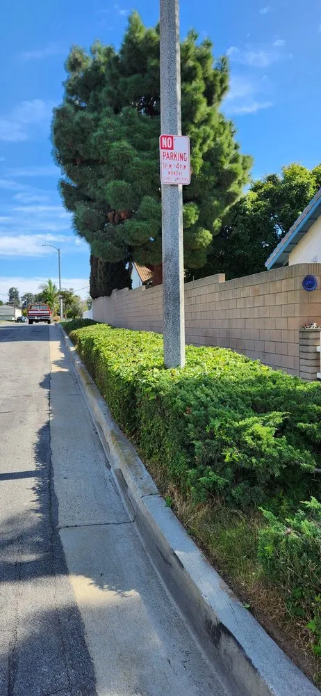 Reliable landscape installation in Gardena, CA - E & M Tree Service