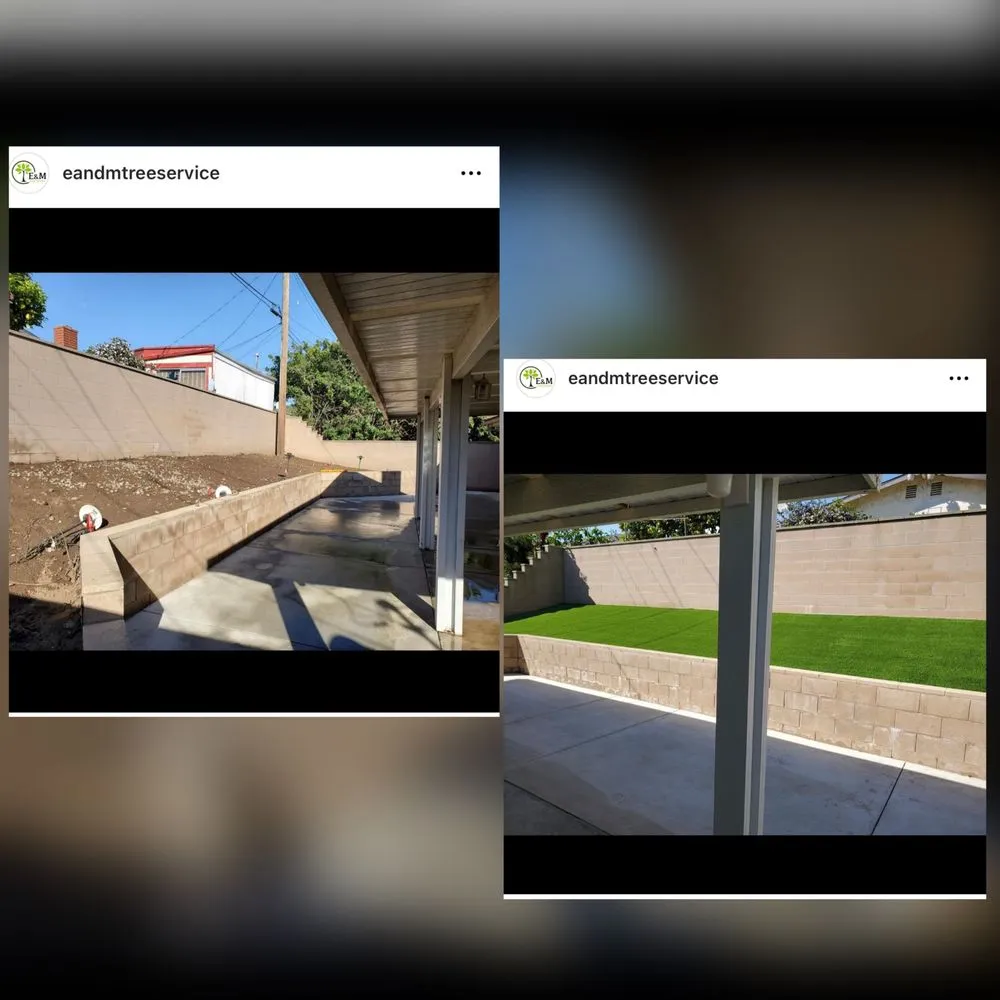 Affordable lawn mowing service in Gardena, CA - E & M Tree Service