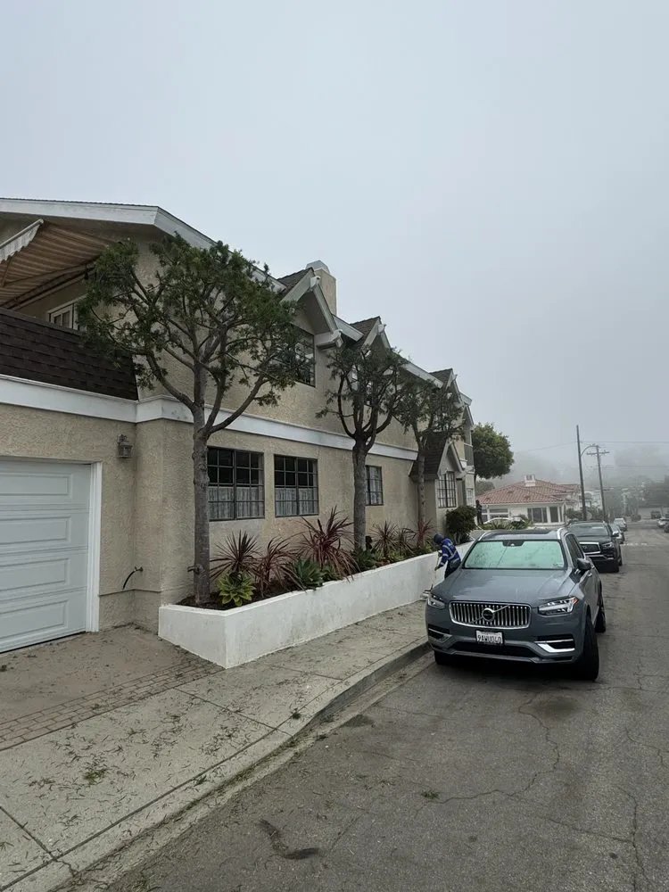 Expert outdoor landscaping for beautiful yards in Gardena, CA by E & M Tree Service