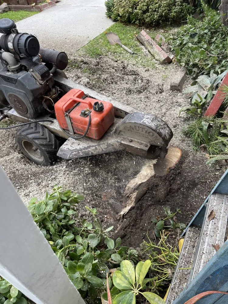 Professional outdoor landscaping for outdoor upgrades in Gardena, CA by E & M Tree Service