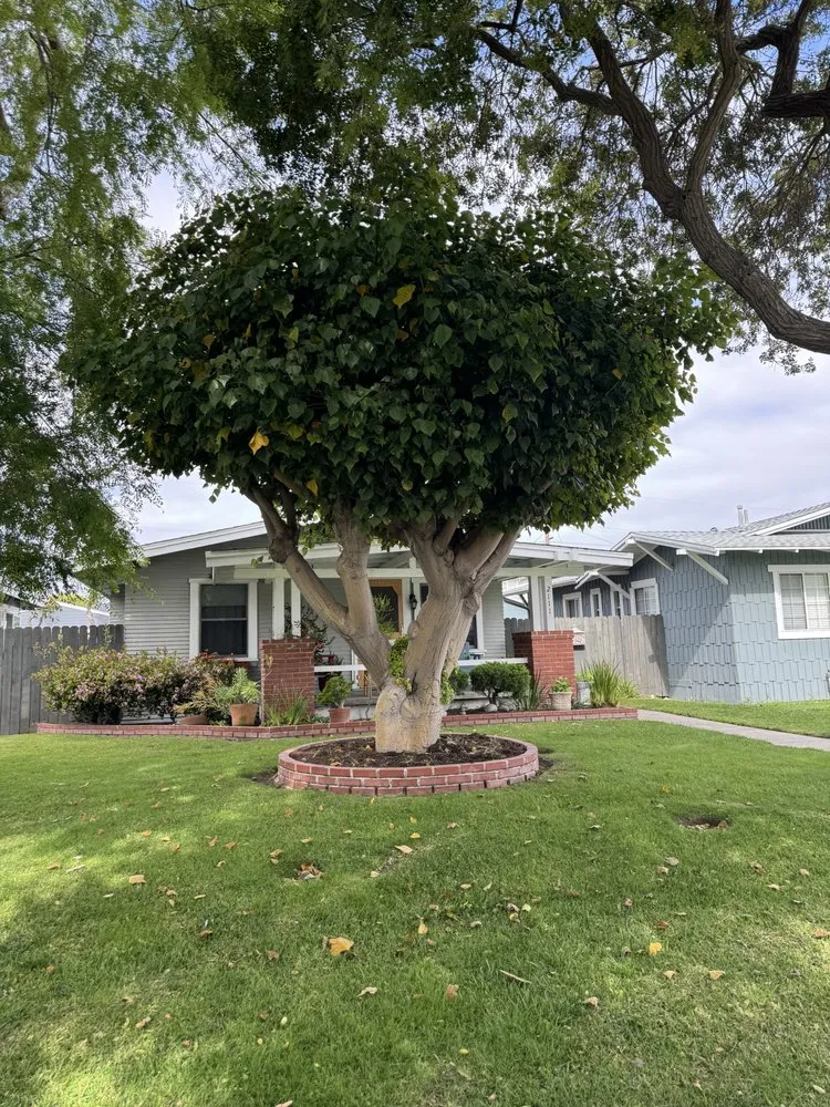 Trusted landscaping services near you in Gardena, CA by E & M Tree Service