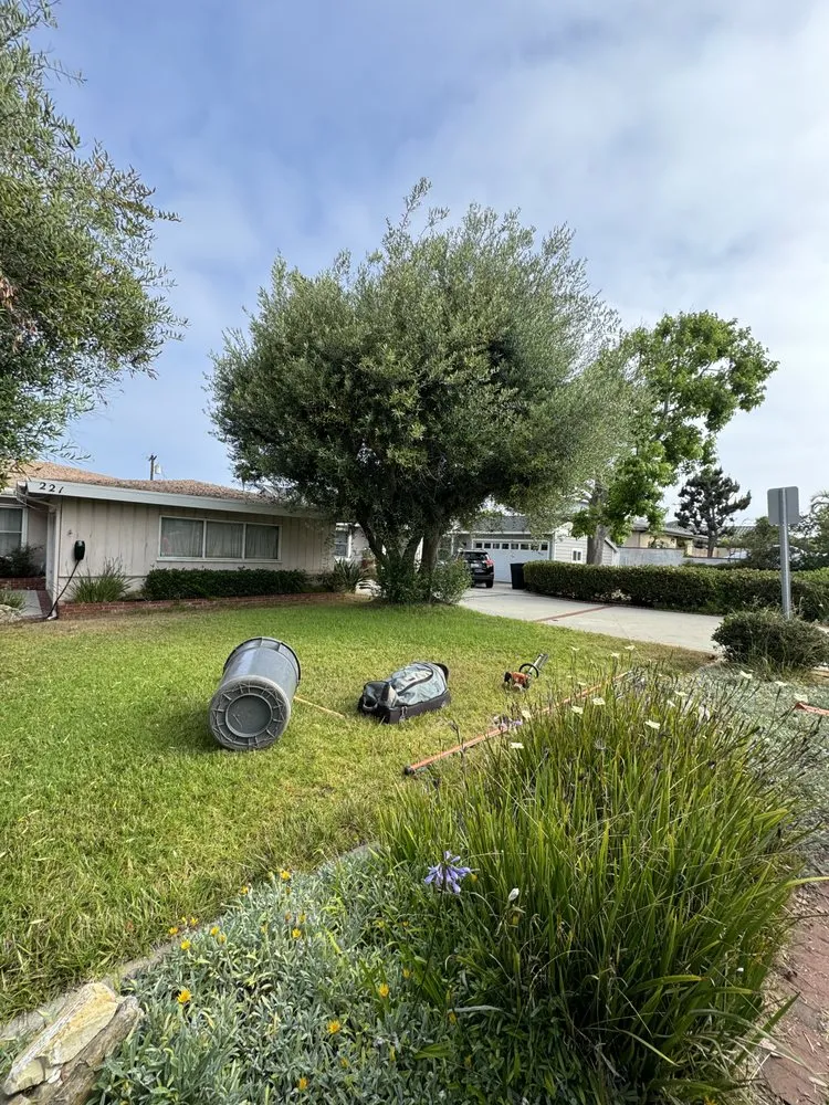 Local garden landscaping near you across Gardena, CA - E & M Tree Service