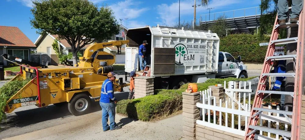Top-rated landscape installation in Gardena, CA - E & M Tree Service