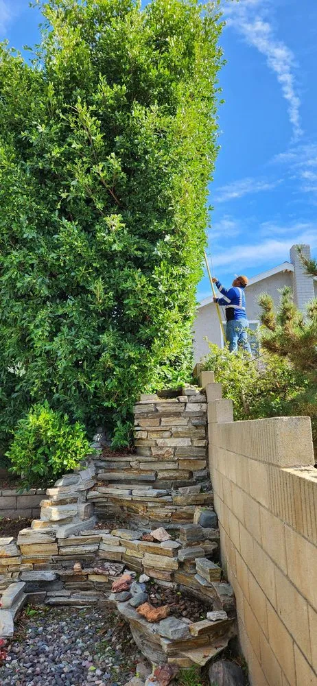 Trusted yard cleanup service experts serving Gardena, CA - E & M Tree Service