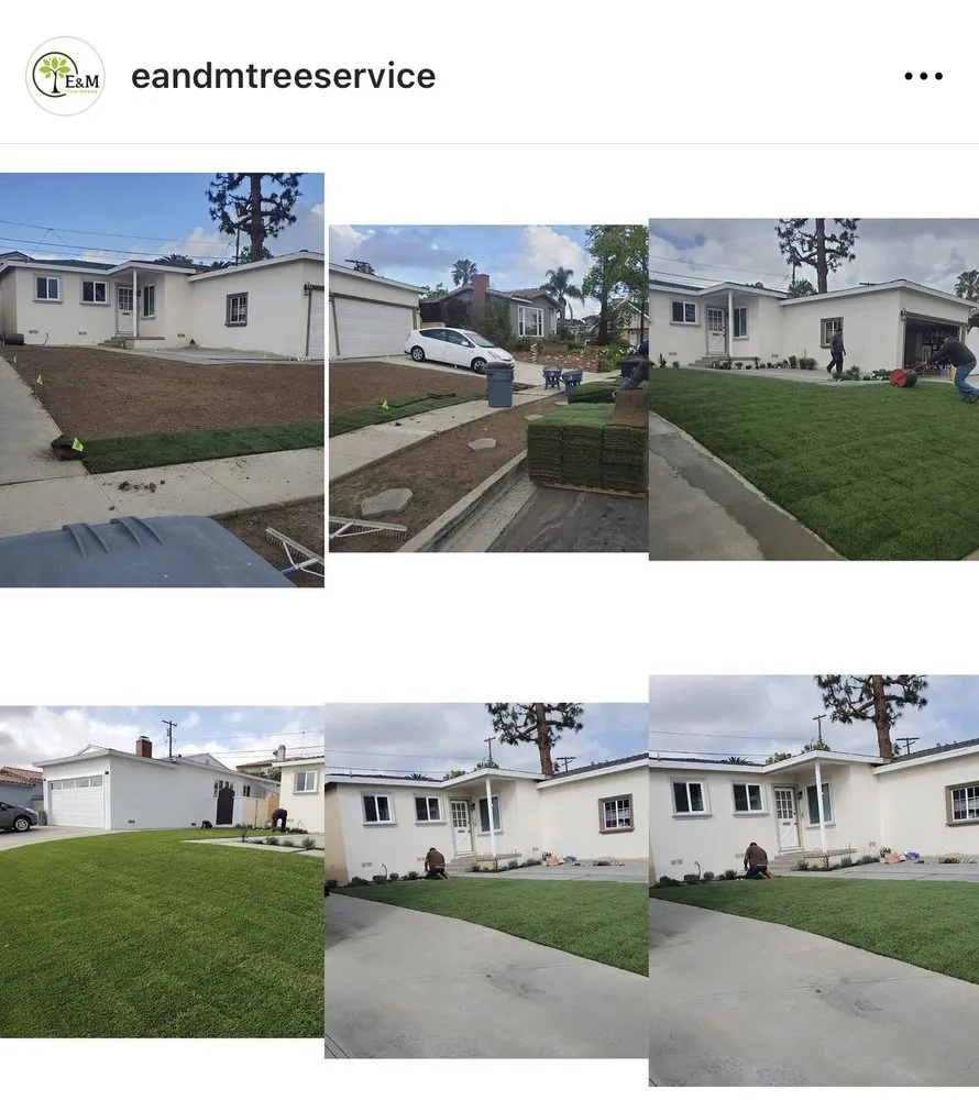 Local outdoor landscaping for outdoor upgrades across Gardena, CA - E & M Tree Service