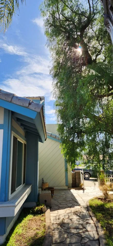 Expert residential landscaping in Gardena, CA - E & M Tree Service