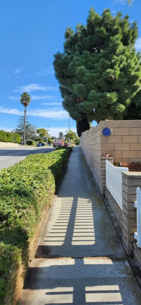 Top-rated yard maintenance in Gardena, CA by E & M Tree Service