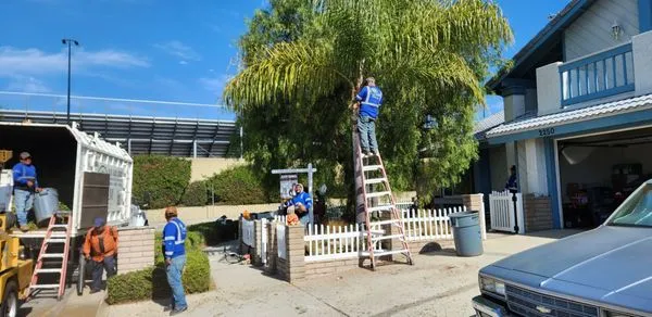 E & M Tree Service Logo