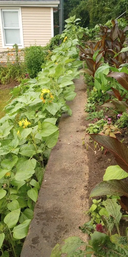 Local landscaping services with custom design across New London, CT - E & R International Design Landscaping