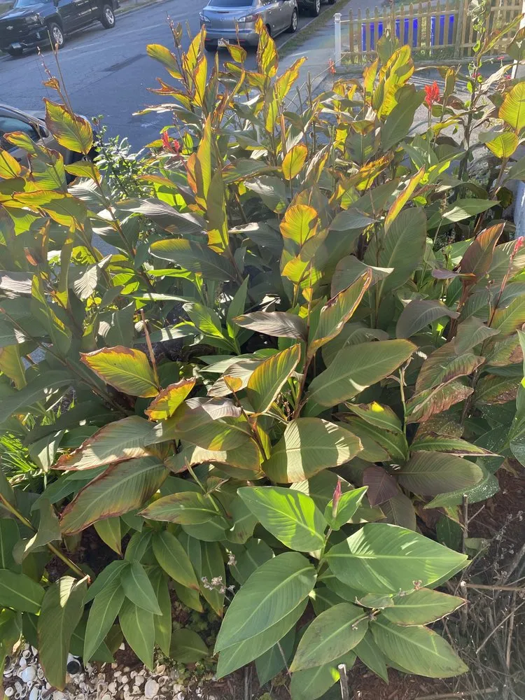 Professional lawn mowing service near you in New London, CT by E & R International Design Landscaping