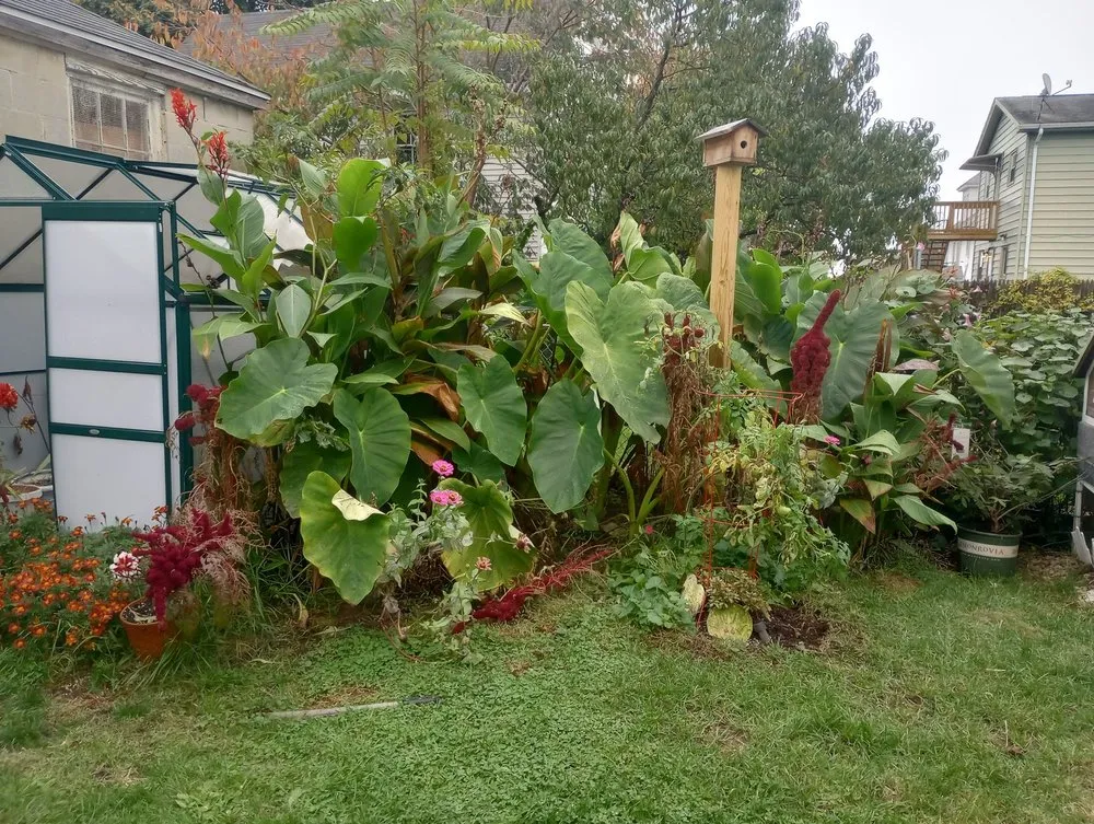 Professional lawn mowing service experts serving New London, CT - E & R International Design Landscaping